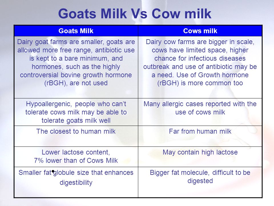 Goats milk better than cow's cheap milk
